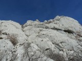 16. Bojin kuk
